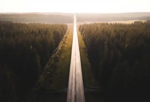 black road surrounded by trees